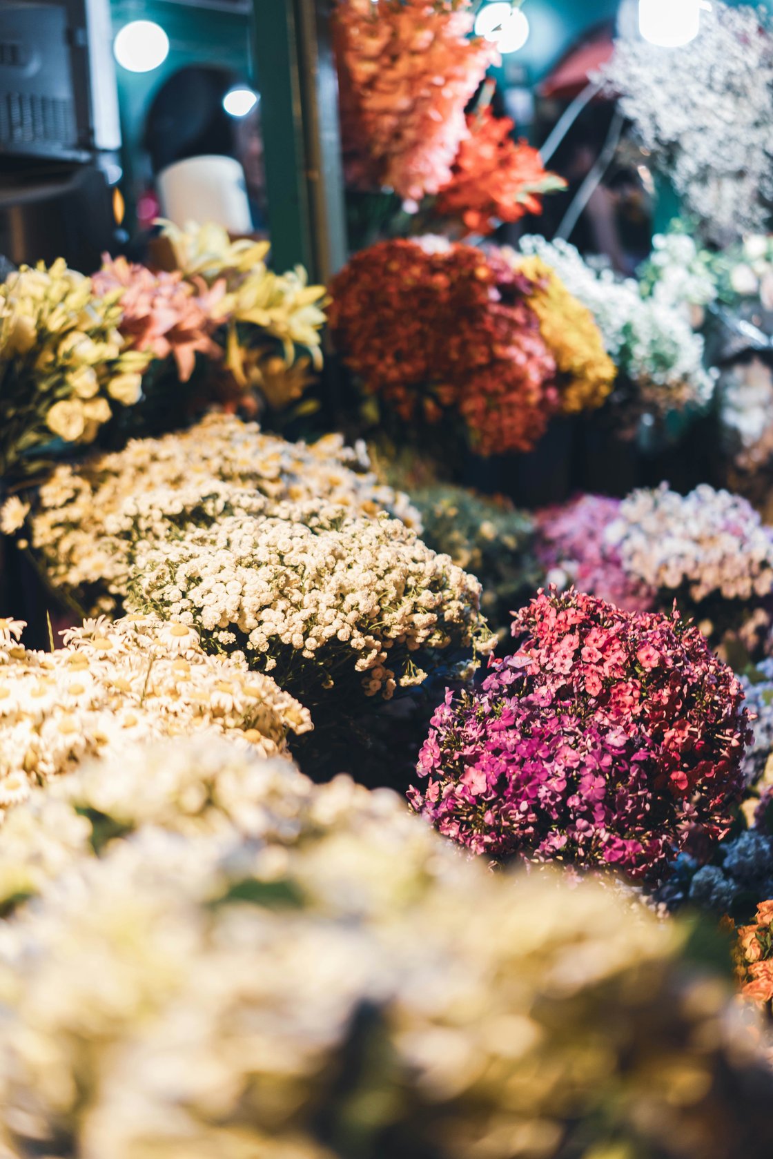 erinada-valpurgieva-spkJ-Ess_j0-unsplash